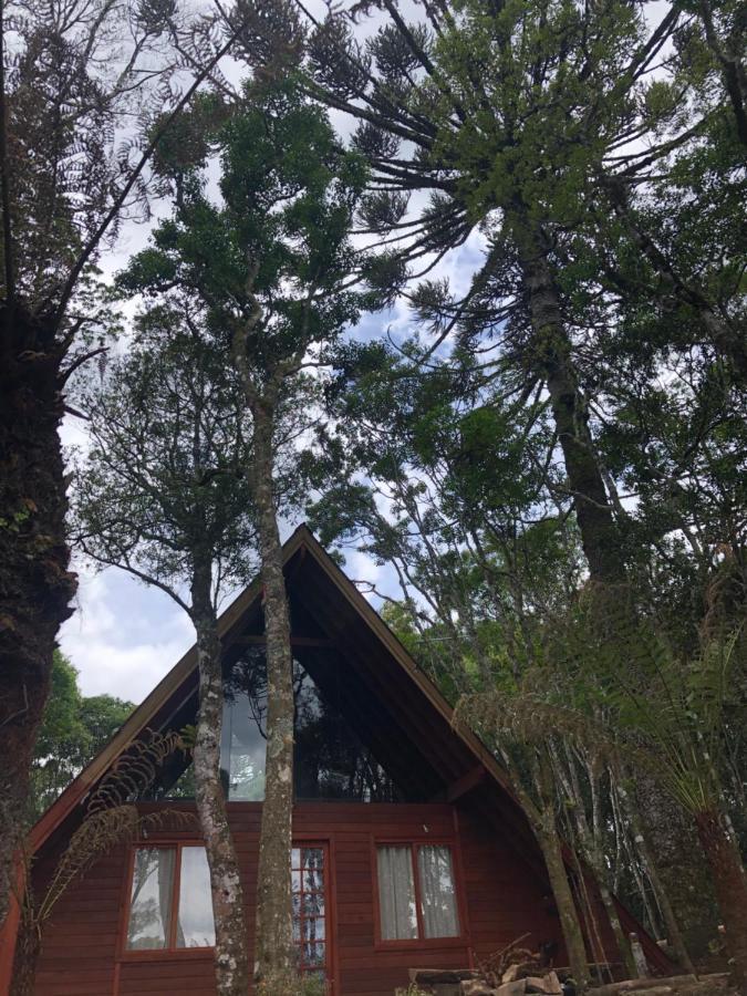 A Cabana Sao Chico São Francisco de Paula Εξωτερικό φωτογραφία
