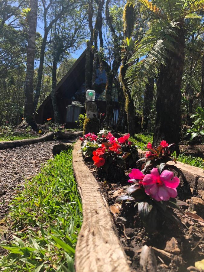 A Cabana Sao Chico São Francisco de Paula Εξωτερικό φωτογραφία